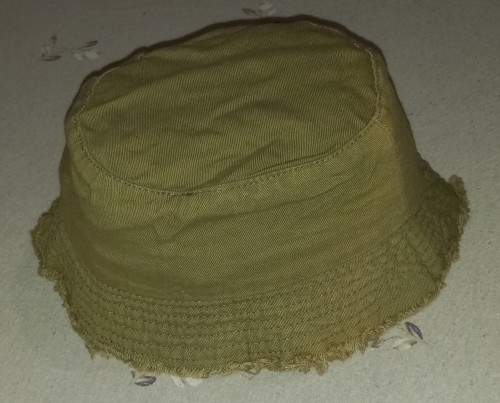 20260313_195603.jpg